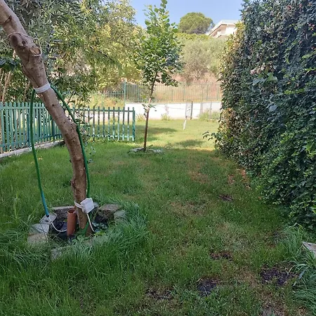 Anestis & * PalaiónTsiflíkion