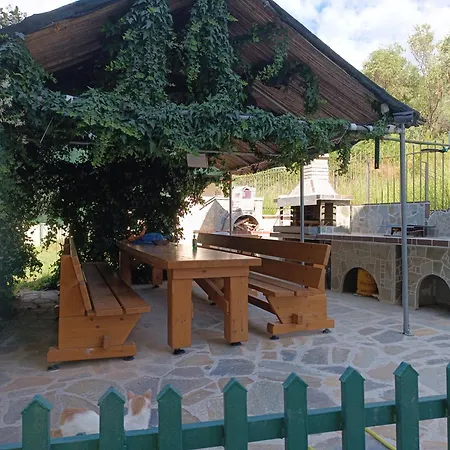Anestis & Apartman PalaiónTsiflíkion